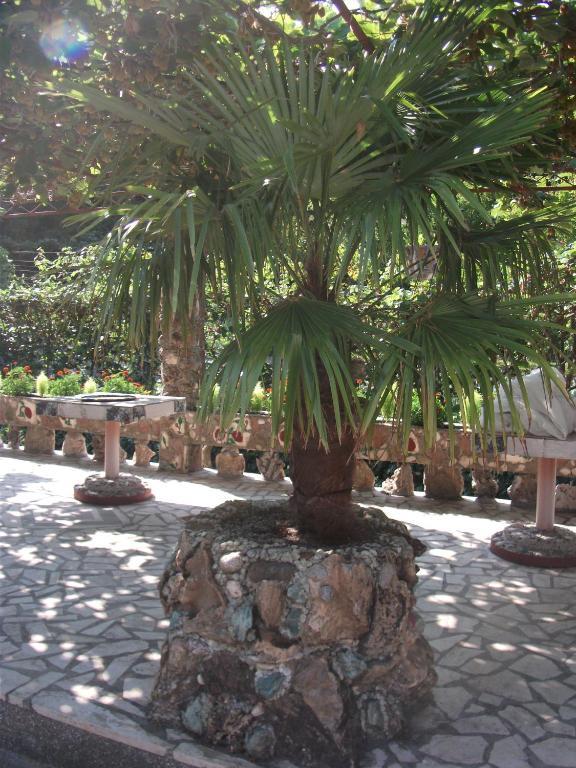 Radonjic Apartments Budva Zewnętrze zdjęcie